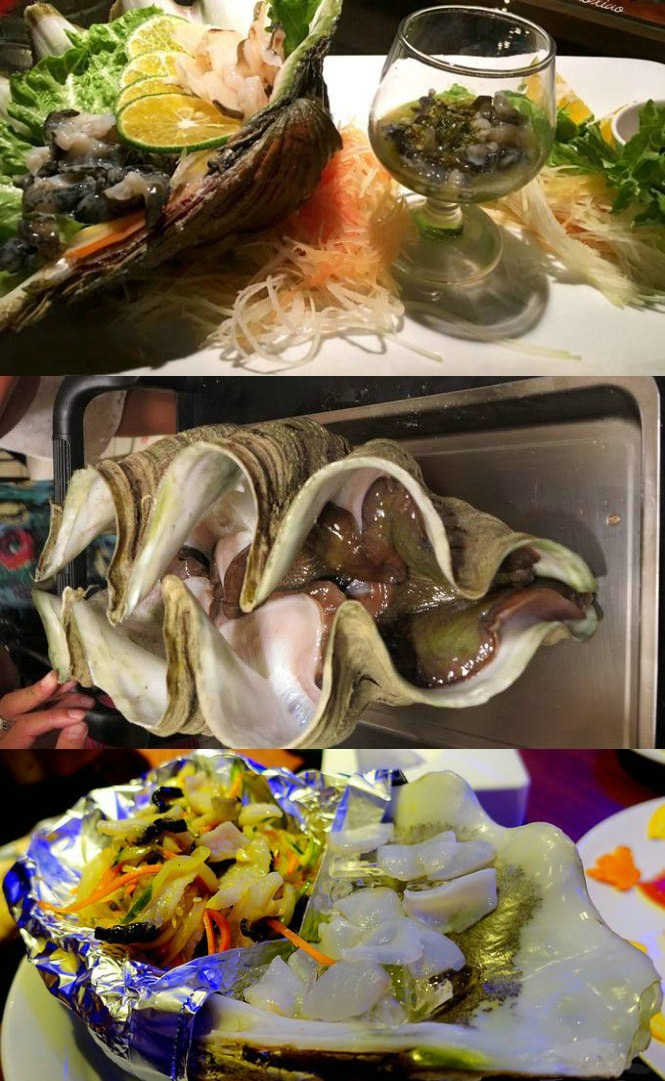 帕劳有什么玩的,帕劳出行攻略