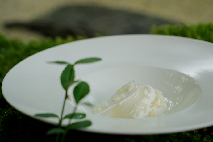 杭州西湖低奢度假村,浙江杭州西湖旅游风景度假区