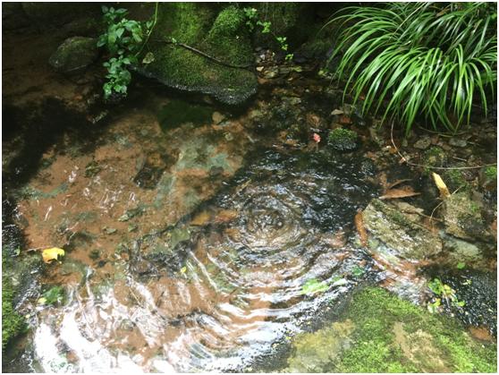 宜兴绿缘山庄度假酒店,宜兴绿缘山庄在什么地方