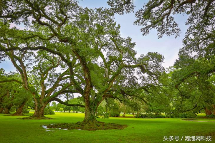 我在美国吃麻小佳能EOS路易斯安那随拍