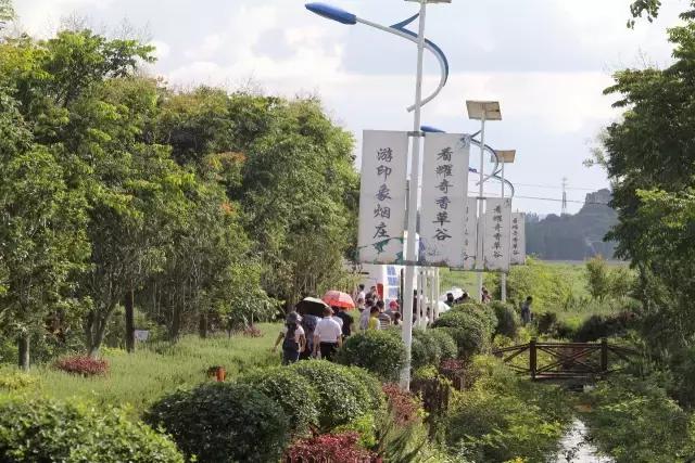 云南花海之行,云南花海基地旅游攻略