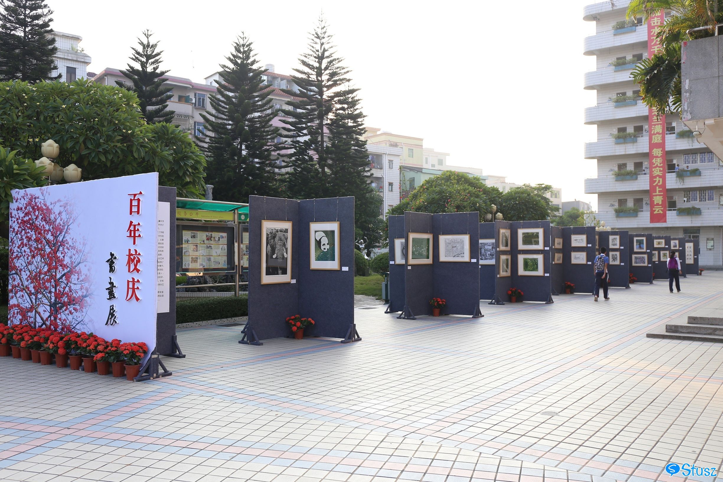 Stusz独家：观澜中学，现代化的百年老校