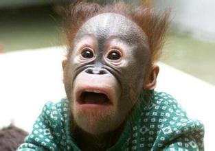 这种求婚方式都敢用?!盘点那些让人目瞪口呆的求婚现场!