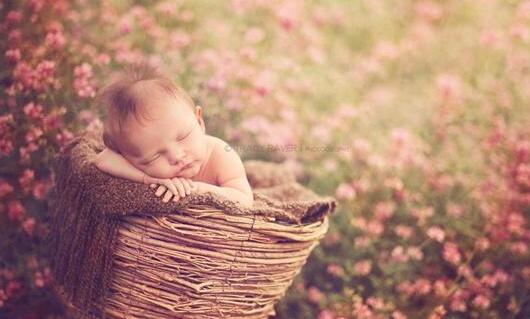 试管婴儿手术的取卵过程