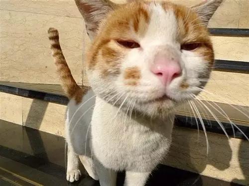 芜湖人约吗?2016年我要在家门口乘高铁去听你的演唱会！