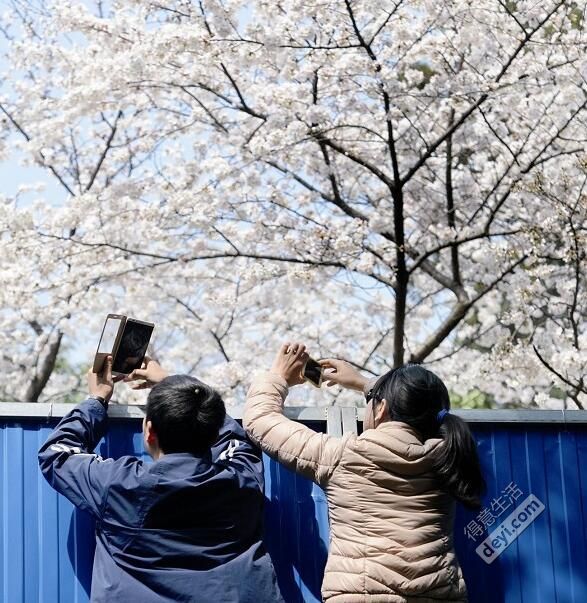 今日武汉|武汉明天迎寒潮；世卫组织：避孕套可能致癌