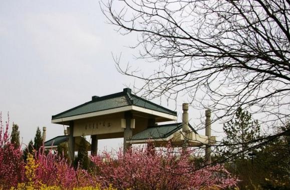 呼和浩特不为人知的秘密,呼和浩特土著