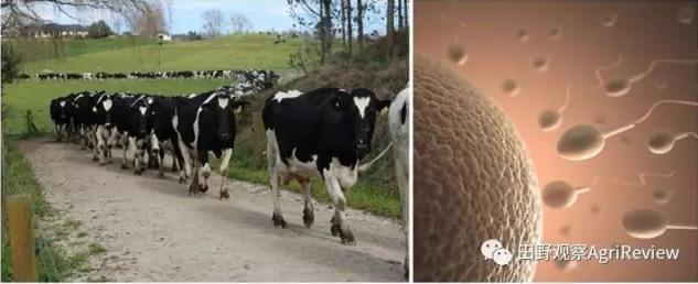 全球最强农业公司排名榜最新,农业创业十大风口企业