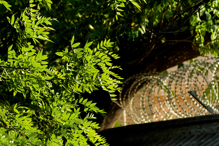 世界杯资料历届世界杯最佳阵容,世界杯装备一览表