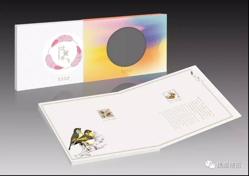 喜鹊大规模飞向一个方向,近期喜鹊展翅飞