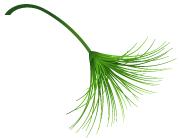 速速围观，帅哥亲自上阵被“撕扯”，告诉你哪款脱毛产品最有效！