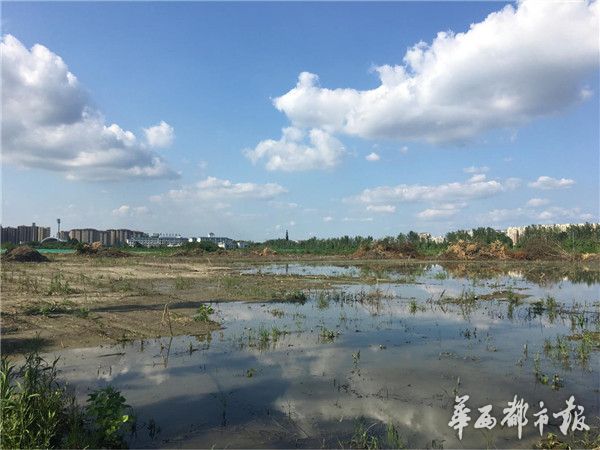 成都双流东升土拍最新,双流最新土拍信息