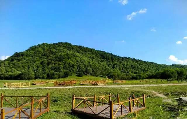 我的青春去旅游,我的青春我做主全集免费