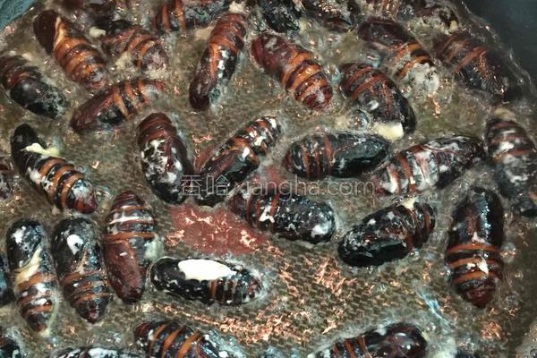 干煸蚕蛹的正确方法,干煸蚕蛹多少钱