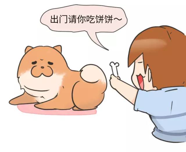 中华名犬唯一上榜的犬,中国顶级中华名犬猎犬