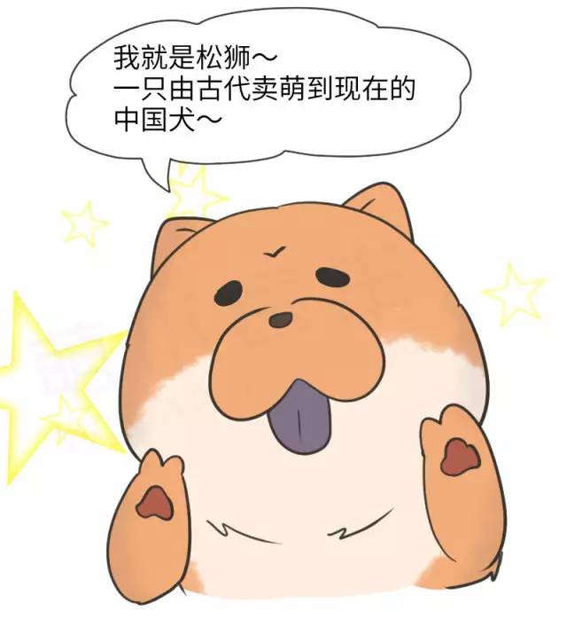 中华名犬唯一上榜的犬,中国顶级中华名犬猎犬