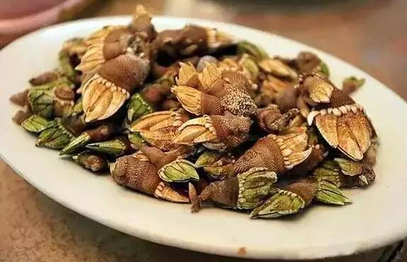 深圳市内伶仃岛,深圳坐船可以去哪些小岛