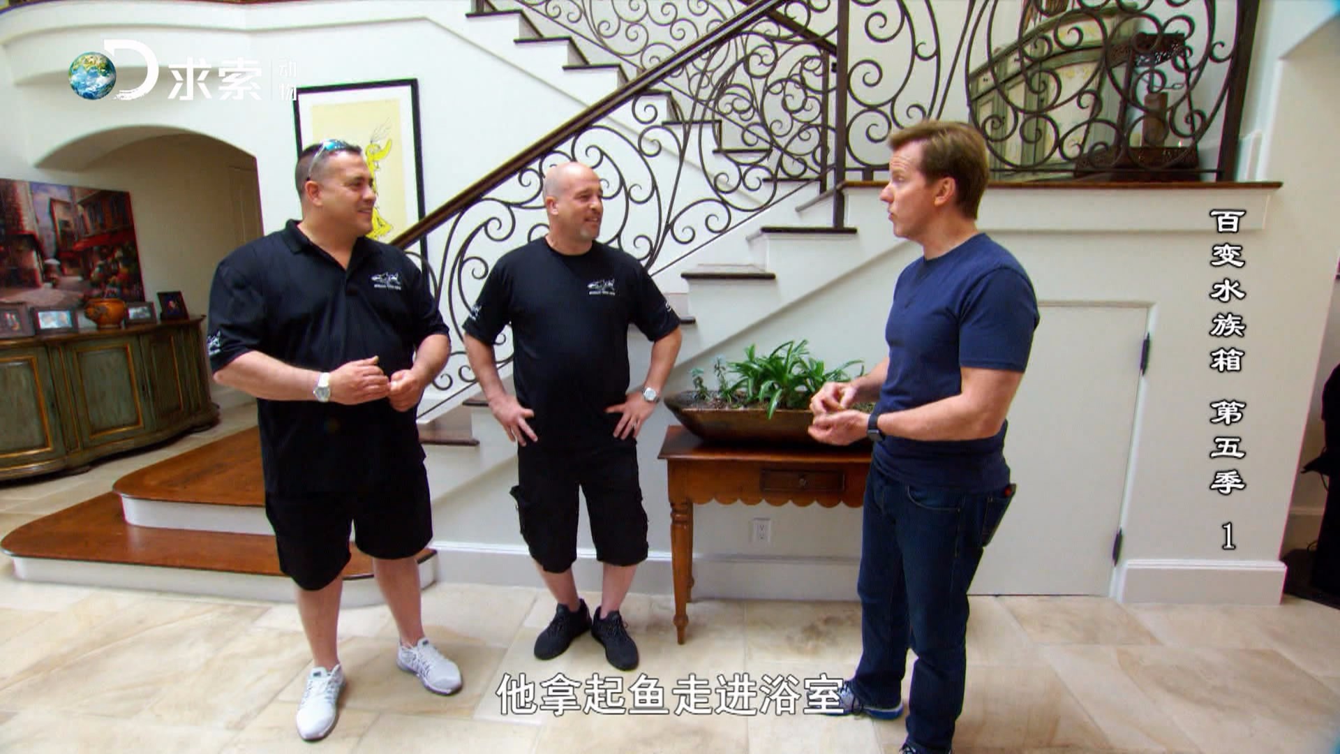 水族类多层鱼缸 (精美鱼缸水族箱)