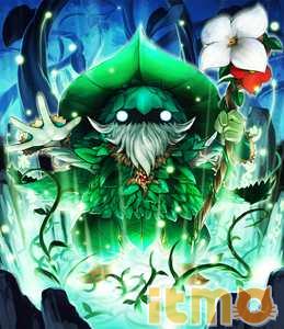 影之诗森林圣域怎么样森林圣域的单卡评价