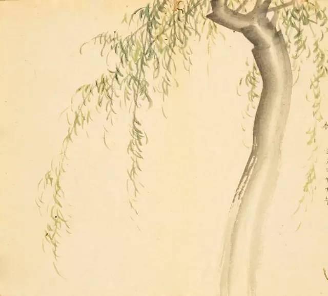 寻溯·花与草的诗情画意