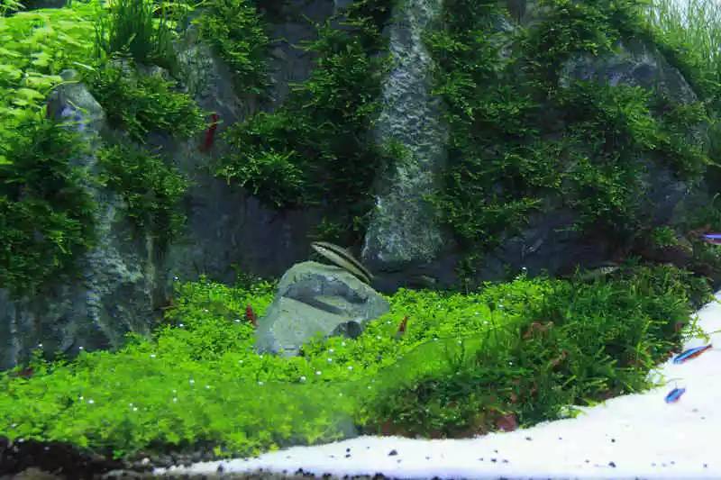 旅游时看到山川河流的感悟,旅游途中看到的景物