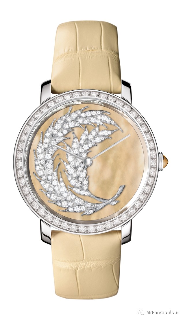 摩纳哥王妃的儿子做了个慈善拍卖这些全球顶级腕表支持了他12年