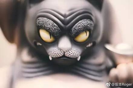 真正的招财喵,要钱的招财猫