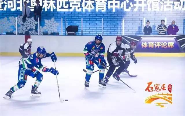 河北奥体中心体育综合馆,河北奥体中心场馆示意图