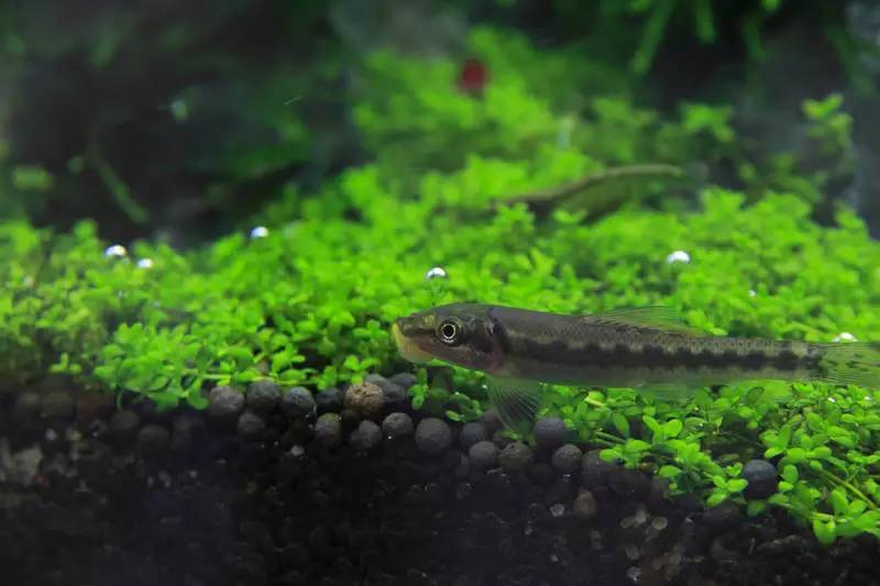 旅游时看到山川河流的感悟,旅游途中看到的景物