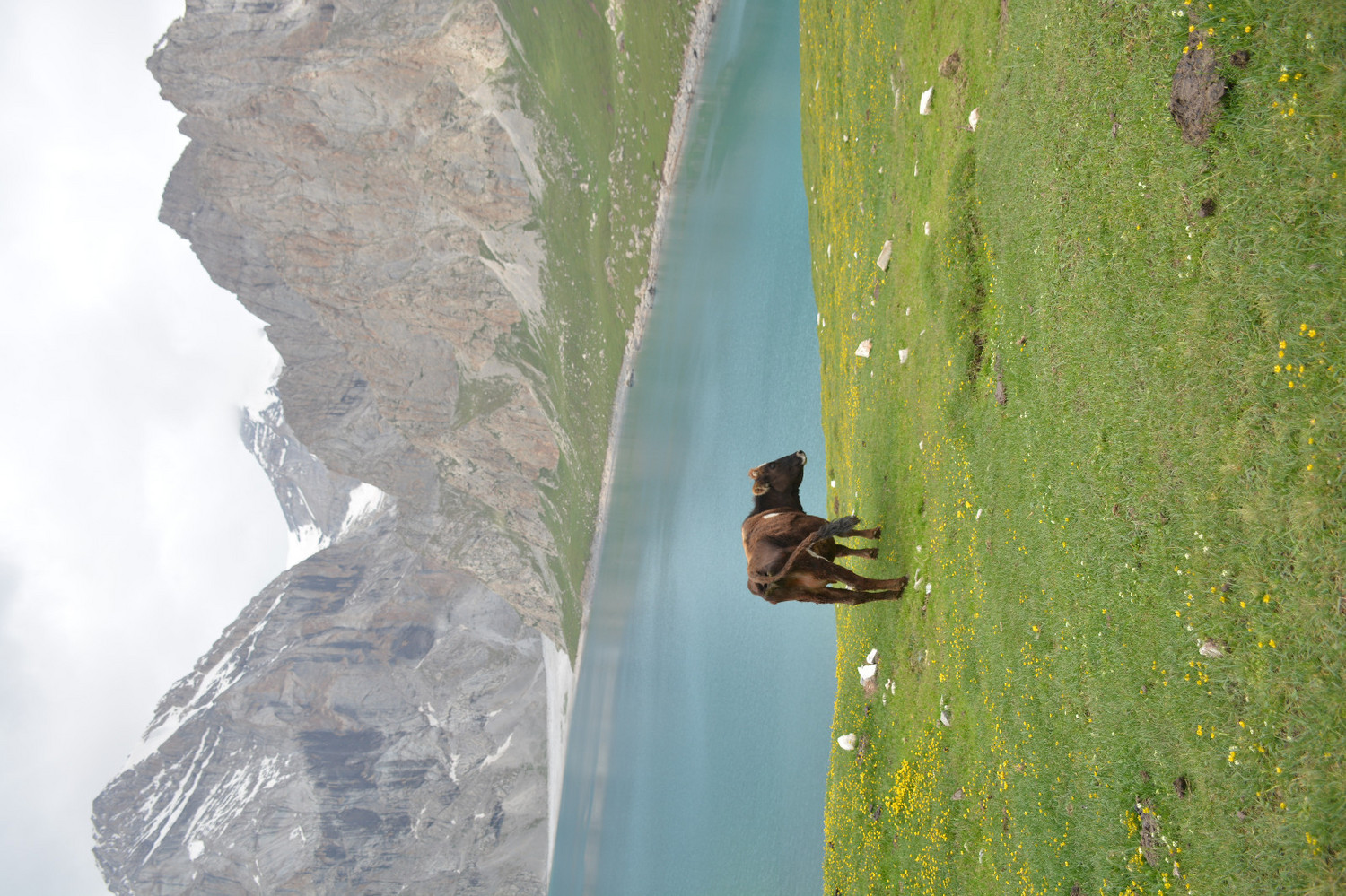 行者无疆-6月乌孙，漂洋过海为圣湖，翻山越岭因初心