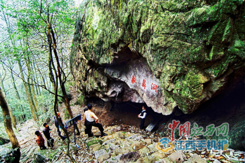 澶忔父涓囬》绾㈣嵎,澶忔父濡傛矏鏄ラ