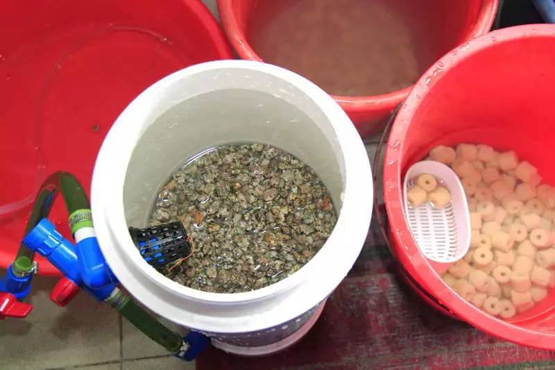 旅游时看到山川河流的感悟,旅游途中看到的景物