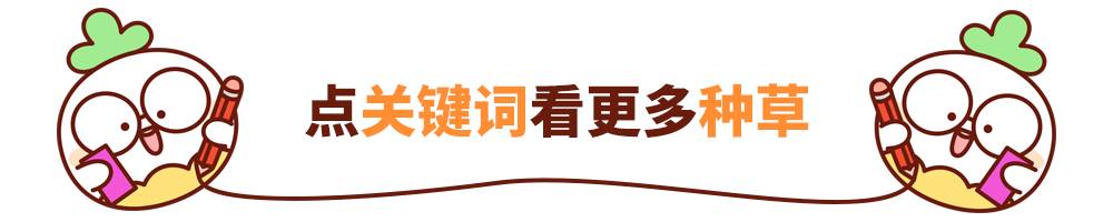 平价清洁面膜泥哪个牌子好,清洁面膜真实评测推荐
