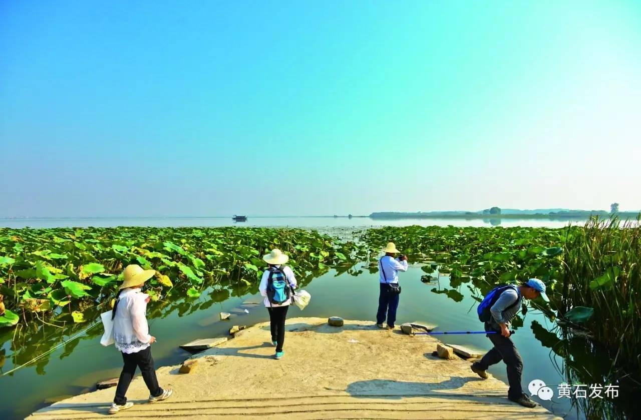 工业强区产业兴区,新旧动能起步区特色小镇
