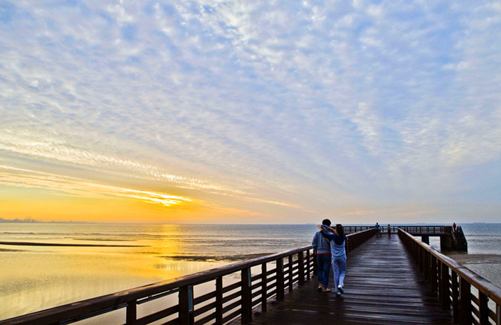 秦皇岛适合带狗去的地方,北戴河的民宿带狗的可以去吗