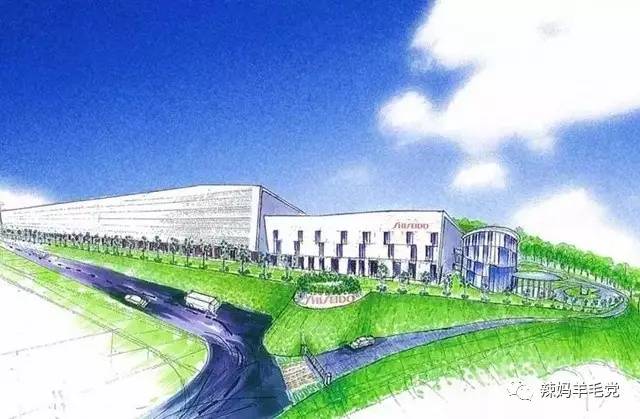 资生堂召回哪些防晒,资生堂被通报