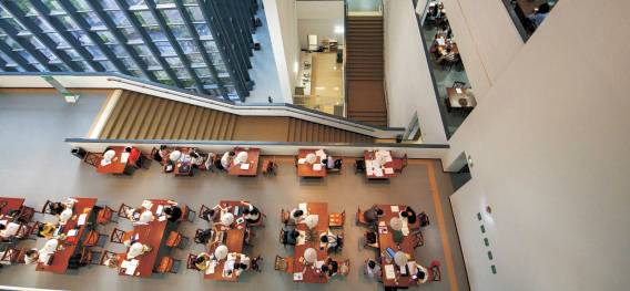 我在西南师范大学等你,我在西南大学等你