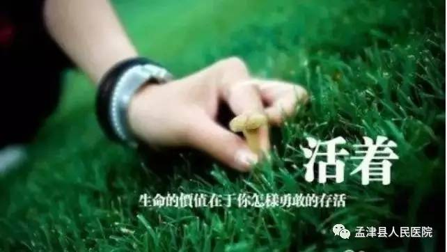 滚蛋吧肿瘤君周西现在怎么样了,滚蛋吧肿瘤君漫画全集在线阅读