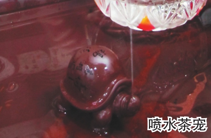 玩家之痴迷不亚于养猫养狗带你走近冰城茶宠玩家世界