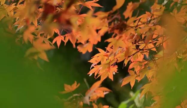 韩寒对语文的看法,韩寒对当代文学的意义