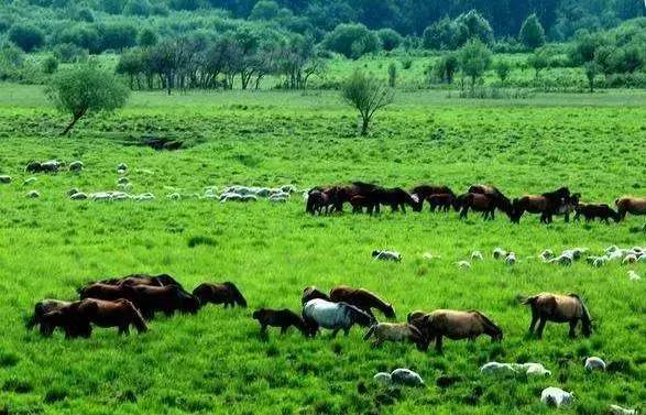 比工资上涨房价下降更劲爆!这里有25个好消息,个个与你相关!