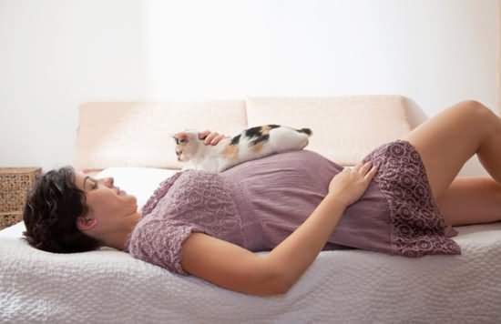 27周的胎儿怕弓形虫感染,怀孕期间感染弓形虫