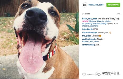 欧美皮肤管理,ins很火皮肤管理