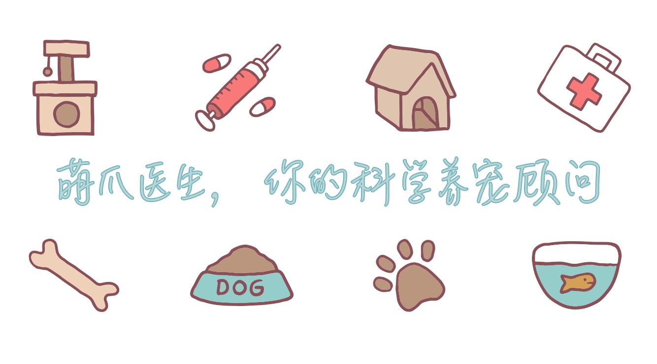 我家博美犬长得怎么样,博美犬8岁是老狗吗