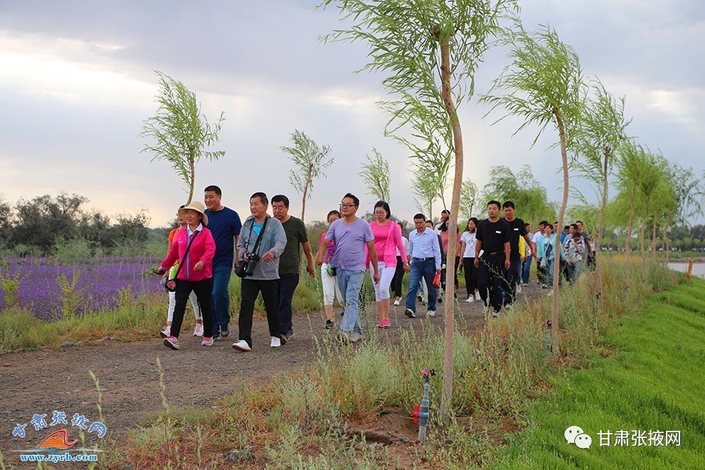 2017高台大事件,2019高台大事件