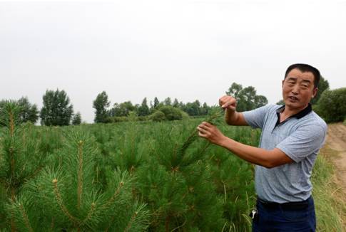 多伦县生态建设,多伦县原生态草原