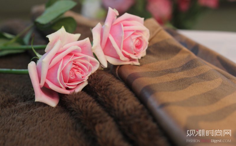 鐪熺毊浠跨毊,鐪熺毊浠跨毊甯冭壓