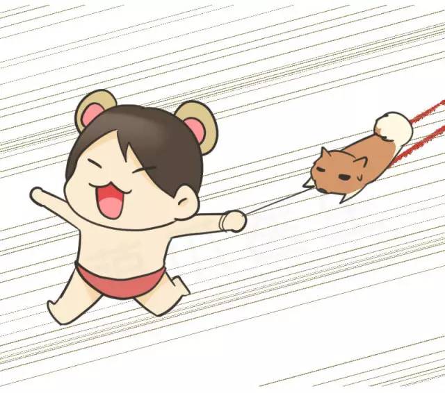 我家博美犬长得怎么样,博美犬8岁是老狗吗