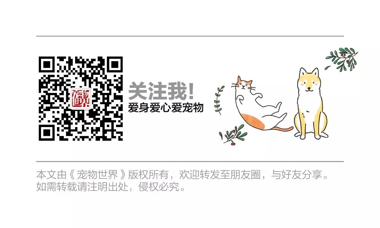 救命啊！主子溺水、触电、中毒了怎么办？！丨强档