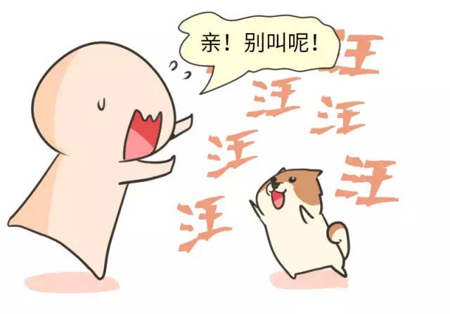 我家博美犬长得怎么样,博美犬8岁是老狗吗